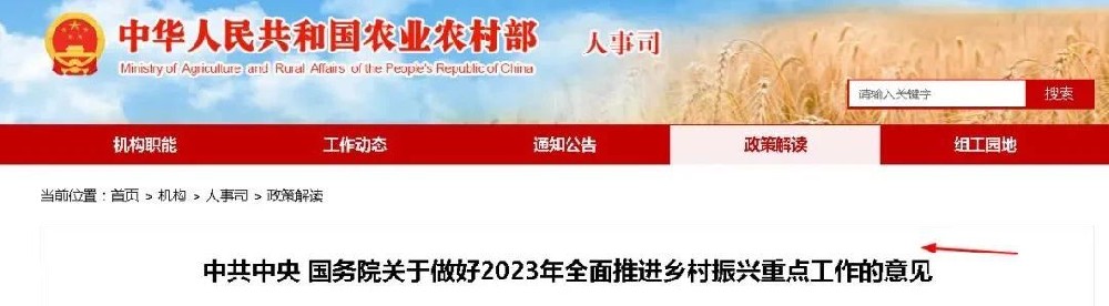 1692947472795482.jpg 1692947472795482.jpg