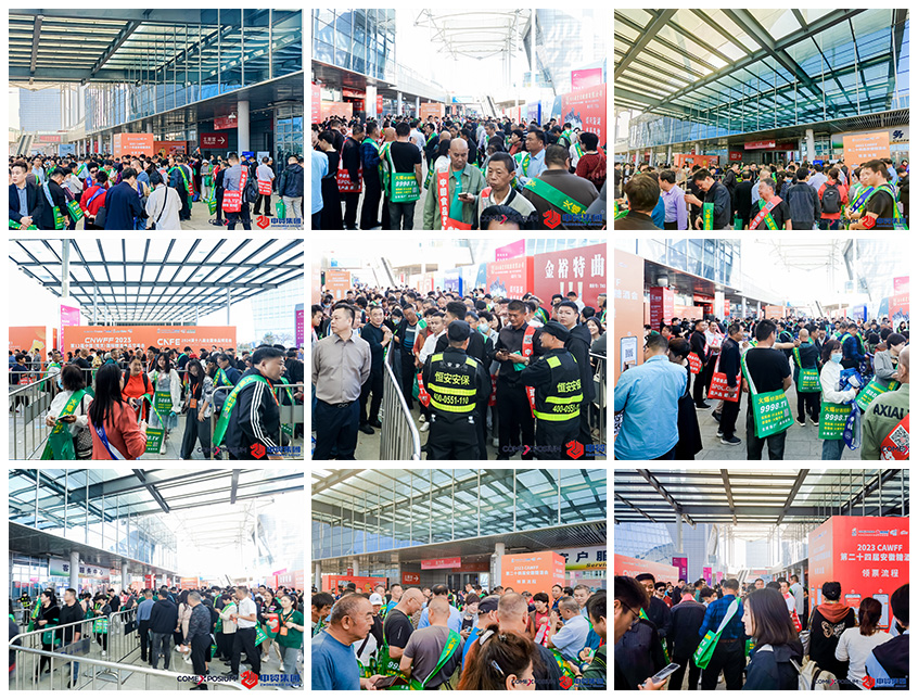 1699172859849187.jpg 1699172859849187.jpg